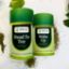 Picture of Combo of Moringa Leaf and Shubhsanjha Chai